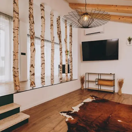 Beautiful Casa Vitale With Pool In Tinjan Jakici
